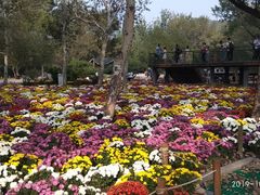 -北京植物园-展览温室