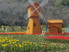-苏州上方山国家森林公园