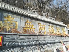 -高尔山公园