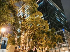 -上海静安香格里拉大酒店