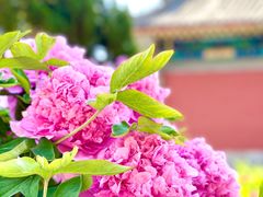 -大钟寺古钟博物馆