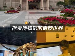 -衢州市博物馆