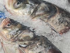 -物美大卖场(玉蜓桥店)