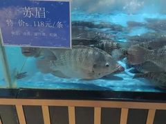 -都市阳光海鲜城(青山湖店)
