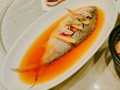 -骏莱海鲜鱼港(五角场店)