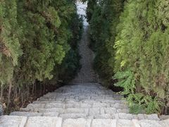 -龙口南山旅游景区