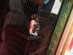 -好介口深夜酒馆(梅江店)