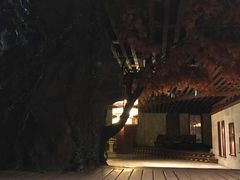 -顺景温泉