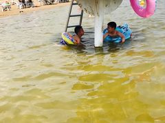 -碧海金沙