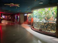 -太平洋海底世界