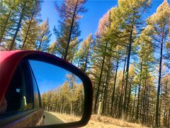 -塞罕坝国家级自然保护区