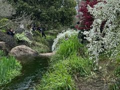 -中国茶叶博物馆(双峰馆区)