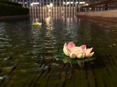 -滩万日本料理Nadaman(国贸大酒店)
