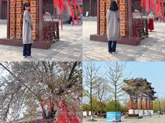 -祥源·阜阳生态乐园