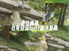 -西安曲江寒窑遗址公园