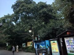 -杭州半山国家森林公园