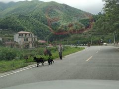 -周洛大峡谷