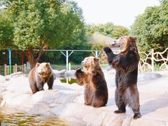 -常州淹城野生动物世界