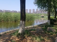 -前关湿地公园
