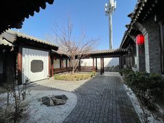 -信园