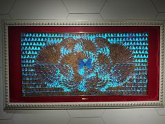 -上海昆虫博物馆