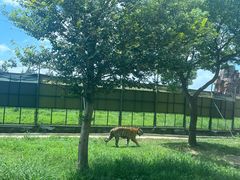 -上海野生动物园