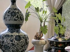 -陈熹公民族美食文化餐厅(中华广场店)