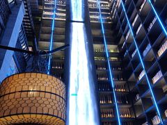 -桂满陇·海市蜃楼·黑金(国金店)