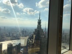 -The lounge 柏悦酒店大堂酒廊(上海环球金融中心店)