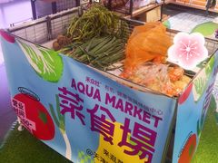 -鹏欣水游城