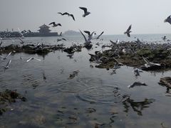 -小孙家厨(长春路店)