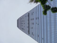 外景-长富金茂大厦