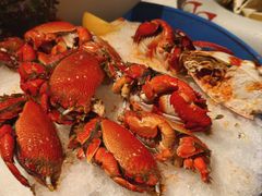 -杭州钱江新城万怡酒店-西餐厅