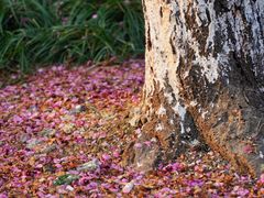 -杭州城北体育公园