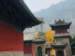 -青龙山生态文化旅游区(慈云寺)