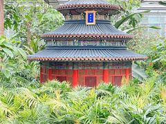 -南宫五洲植物乐园