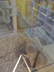 -神奇动物撸宠馆·羊驼·小浣熊·异宠(豫园店)