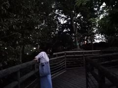 -贵阳市花溪国家城市湿地公园