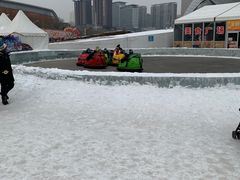 -沈阳奥体冰雪嘉年华