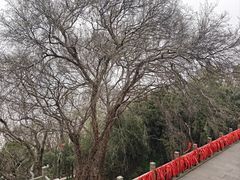-外蒲山