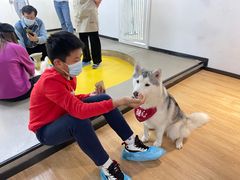 -Husky Go! 哈士奇体验馆·宠物咖啡厅狗咖