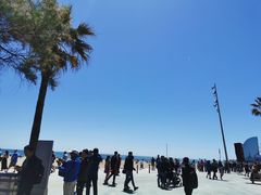 -小巴塞罗那海滩