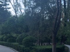 -青城公园