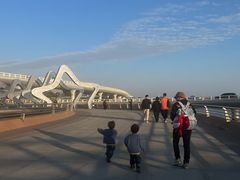 -演武大桥观景平台