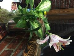 眼镜哥音乐烤吧-眼镜哥浦江夜宵大本营