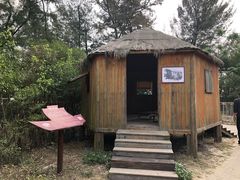 -北海金海湾红树林生态旅游区