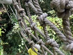 -西双版纳原始森林公园