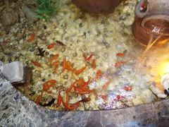 -爱乐国际温泉水疗会