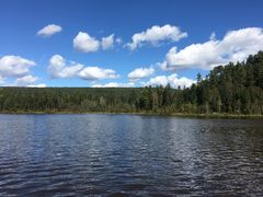 -五营红松林海景区