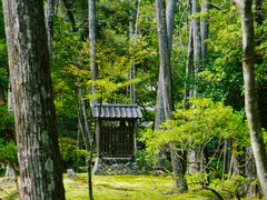 -西芳寺(苔寺)